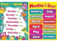Wildmark Laminated Day of The Week and Months of The Year Name Printed Educational Wall Chart Paper Poster ( 12x18 Inches, Medium , Multicolour)