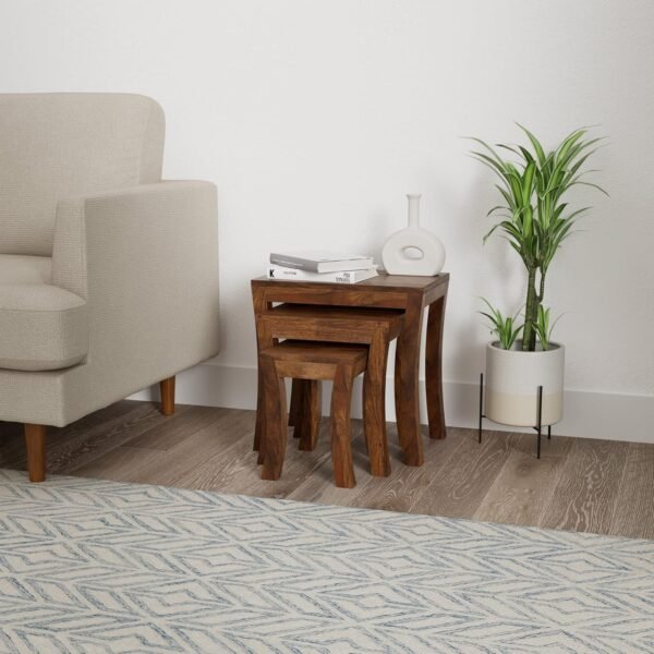 Amazon Brand - Solimo Loddin Nested Side Table, Set of 3 (Solid Sheesham Wood, Natural Finish)