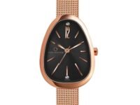 Carlington Iconic 2047 Analog Watches for Women with Premium mesh Strap, Scratch-Resistant Dial, and Water-Resistant Body – Elegant Watches for Women and Girls