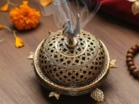 DSH Brass Incense Burner Tortoise Peacock Loban Dhoop Dani Aarti Brass Loban dhup Dani/Dhoop Dani Burner for Home Office Temple Puja