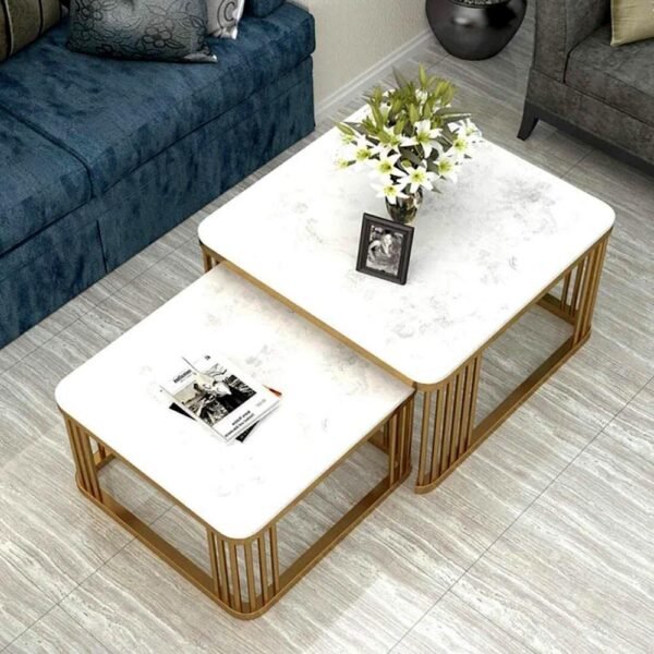 Ereteken ART Engineered Wood Coffee Table Set With Storage Open Shelf For Living Room Modern Minimalist Style Furniture Living Room Tables,Center Tables & End Tables, Set Of 2 -(White,Gold)
