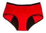 HEALTHFAB ; The Fabulous You Gopadfree Heavy Period Panty Hipster Leak Proof Underwear for Medium to Heavy Flow,Reusable for 2 Years Without Pads, Pack of 1