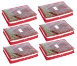 HomeStrap Polypropylene Set Of 6 Foldable 3 Inch Height Saree Covers/Clothes Storage Bag/Wardrobe Organizer With Transparent Top And Zip For, Suit, Dress,& Accessories (Red)