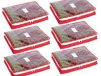 HomeStrap Polypropylene Set Of 6 Foldable 3 Inch Height Saree Covers/Clothes Storage Bag/Wardrobe Organizer With Transparent Top And Zip For, Suit, Dress,& Accessories (Red)