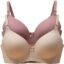 Imsa Moda Women's Nylon Lycra Lightly Padded Full Coverage Wirefree T-Shirt Bra Combo Pack of 2