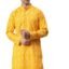Majestic Man Men's Cotton Regular Fit Casual Mandarin Collar Ethnic Motifs Printed Long Regular Kurta
