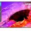 Samsung 75 inches Crystal UHD 4K Samsung Vision AI Smart TV UA75UE85AHULXL