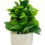 ATEVON White Pot Artificial Flower Plants: Ideal for Home Office Decor in Bedrooms, Living Rooms, and Balconies