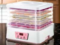 Divyabhav® Plastic Electric Countertop Food Dehydrator with 5 Stackable Tray,Vegetable,fruits,flower etc .Preserver Jerky Maker | Food Dryer Machine(multicolor)