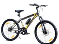 Leader-24T-MTB-CYCLE (Single Speed, Grey)