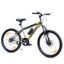Leader-24T-MTB-CYCLE (Single Speed, Grey)