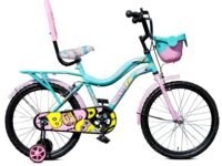 Leader Buddy 20T Kids Cycle for 5 to 9 Years Suitable for Boy and Girl Both - Sea Green/Light Pink
