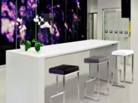 The 31093 Stainless Steel Barstool with Cushion/Bar Chair/Patio Chair - Made in India