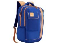 American Tourister Sest 3.0 Style 02 | 30L Backpack | School Bag | 3 Compartments | School Backpack for Girls and Boys | Spacious Interiors | Blue | 1 Yr Global Warranty