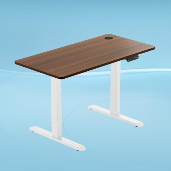 The Sleep Company - AeroPlus Electric Height Adjustable Desk | Ergonomic Work from Home Table | 4 Memory Presets | 2 Years Warranty | 1600 x 700 Thick Top | Free Installation | Wooden & White