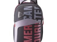 American Tourister Sest+ Polyester 2 Compartment Unisex Backpack (Black,Frsz) (Free Size)