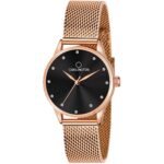 Carlington Analog Watches for Women with mesh Strap - CT 2009