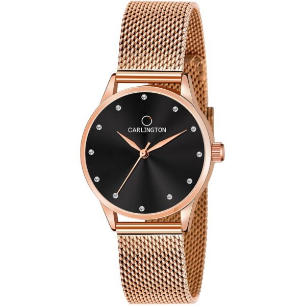 Carlington Analog Watches for Women with mesh Strap - CT 2009