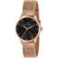 Carlington Analog Watches for Women with mesh Strap - CT 2009