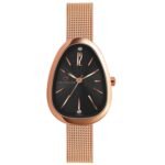 Carlington Iconic Analog Watch for Ladies | Stainless Steel Wrist Watch for Girls| Quartz Movement | Water Resistant | Casual & Formal Wear - CT 2047