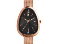 Carlington Iconic Analog Watch for Ladies | Stainless Steel Wrist Watch for Girls| Quartz Movement | Water Resistant | Casual & Formal Wear - CT 2047