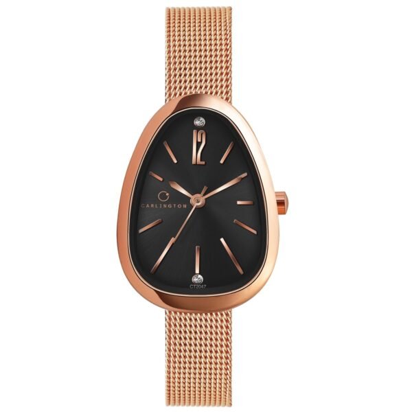 Carlington Iconic Analog Watch for Ladies | Stainless Steel Wrist Watch for Girls| Quartz Movement | Water Resistant | Casual & Formal Wear - CT 2047