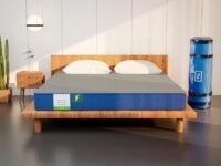 Flo Ortho™ Mattress | Aloe Vera Infused Orthopedic Mattress with Pain Release™ Technology | Medium Firm Feel | 4 inch Mattress in Single Size (72x30x4) | 10 Year Warranty- Grey Colour