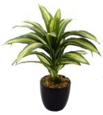 Fourwalls Artificial Natural Looking Dracaena Bonsai Plant in A Ceramic Vase for Home Office Decor (24 cm Tall, 25 Leaves, Green)