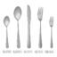 MDEALY 20-Piece Silverware Flatware Cutlery Set, Stainless Steel Kitchen Utensils Service for 4, Include Dinner Knives,Dinner Forks,Dinner Spoons,Salad Forks,Teaspoons
