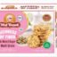 MidBreak No Added Sugar Multigrain Cookies - 300gm (Pack Of 1) | Handmade Multigrain Biscuits | Eggless & Diabetic-Friendly Cookies | Healthy Low-Fat Tea Snack