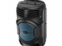 pTron Fusion Octane 48W Bluetooth Party Speaker w/Punchy Sound, 8 inch Neo Driver, Breathing RGB Lights, 6Hrs Playtime, BT5.3/Aux/TF Card/USB Playback Modes, Type-C Charging, Portable (Jade Black)