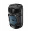 pTron Fusion Octane 48W Bluetooth Party Speaker w/Punchy Sound, 8 inch Neo Driver, Breathing RGB Lights, 6Hrs Playtime, BT5.3/Aux/TF Card/USB Playback Modes, Type-C Charging, Portable (Jade Black)