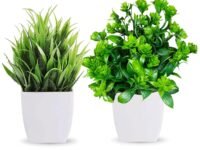 ALOUD CREATIONS Mini Artificial Plants for Home Decor | 2 Pack Fake Plants | Trees for Home Decor | Artificial Plants with Pot | Indoor Plants for Living Room Artificial | Office Decor | Set of 2