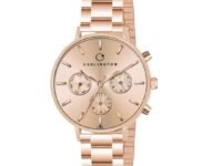 Carlington Iconic Analog Watches for Women with Premium Stainless Steel Strap - CT 2039
