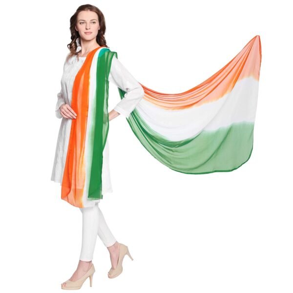 DUPATTA BAZAAR Multicolour Chiffon Dupatta republic day