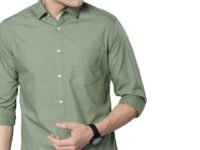 Dennis Lingo Men Cotton Solid Slim Fit Casual Shirts