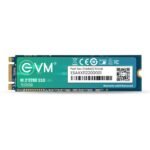 EVM 512GB M.2 SATA SSD 2280 | Internal SSD | Up to 540MB/s Read 450MB/s Write | High Speed Laptop Storage | 5 Year Warranty (EVMM2/512GB)