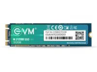 EVM 512GB M.2 SATA SSD 2280 | Internal SSD | Up to 540MB/s Read 450MB/s Write | High Speed Laptop Storage | 5 Year Warranty (EVMM2/512GB)