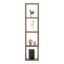Engineered Wood Bookcase, Display Rack, Books Storage Organizer, Bookshelf for Home Furniture, Cabinet for Bedroom, Office, Living Room (Brown, 4 Shelves) (DIY)