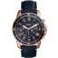 Fossil Watch