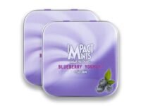 Impact Products Sugar Free Mint Blueberry Yoghurt 15g - Pack of 2, 30 g