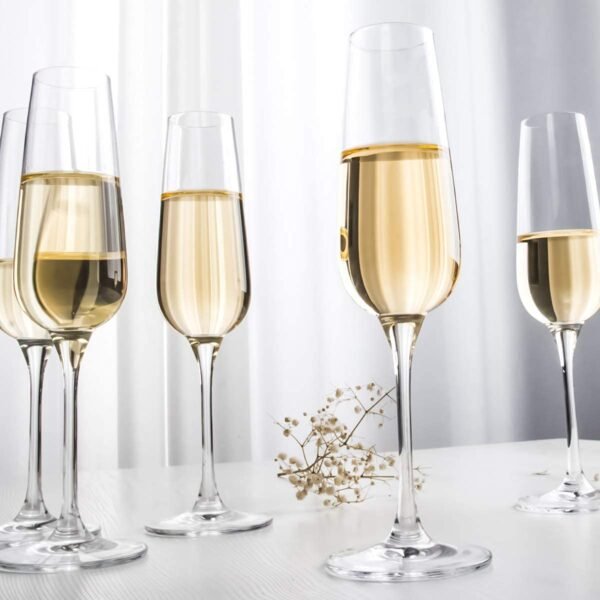 PrimeWorld Classy Crystal Clear Champagne flute-200ml-1piece Clear Stemmed Champagne Flute Glasses, Mimosa Glasses Perfect for Anniversary, Party, Wedding