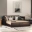 Solid Sheesham Wooden Sofa Cums Bed with Mattresses for Living Room|Rosewood 3-Person Sofa Cums Bed for Bedroom Without Pillow (G-Walnut, 3 Seater)