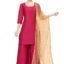 Studio Shringaar Women's Net sequence Embroidered Full Size Dupatta