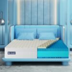 The Sleep Company SmartGRID Ortho Royale Mattress | Japanese Patented Technology with 100% Natural Latex | 5 Zone Support for Back Pain Relief | Medium Firm King Size Bed Mattress 84x72x6