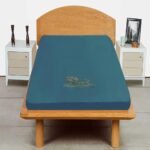 Trance Cotton Feel Terry Ultra Soft Waterproof Single Small DIWAN Size Mattress Protector | Breathable - Hypoallergenic Bed Protector (72x30 inch | 6x2.5 feet, Teal - Pack of 1)