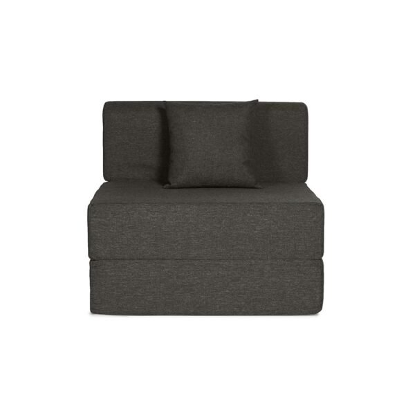 Wakefit Polyester Sofa Cum Bed | 5 Year Warranty | 1 Seater, Sofa Bed 6 X 2.5 Feet, Foldable Sofa Cum Bed with 1 Cushion - Flipper (Omega: Grey)