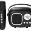 XECH Karaoke Speaker with Wireless Mic for Singing | Retro Radio Design | Ai Voice Changer | Vocal Cancellation | Birthday Party Gift for Boys and Girls Kids (Retro Jam)