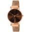 LOUIS DEVIN Rose Gold Plated Mesh Chain Analog Wrist Watch for Women (Blue/Green/Brown/Black Dial) | LD-RG173