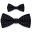 Matching Father and Son Bow Tie Set